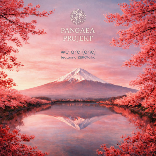 We Are (One) (feat. ZEROtaiko)