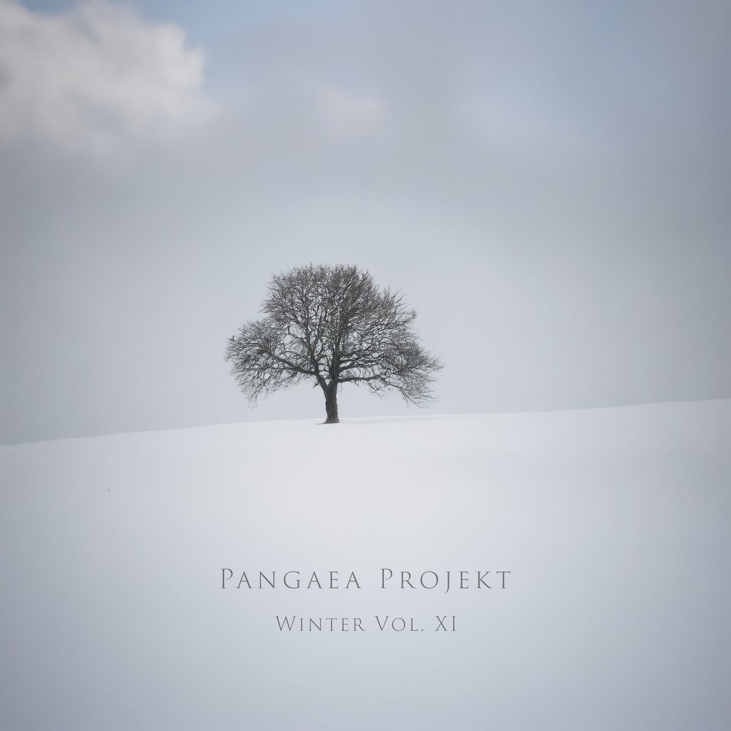 Winter Vol. XI – Studio Edition