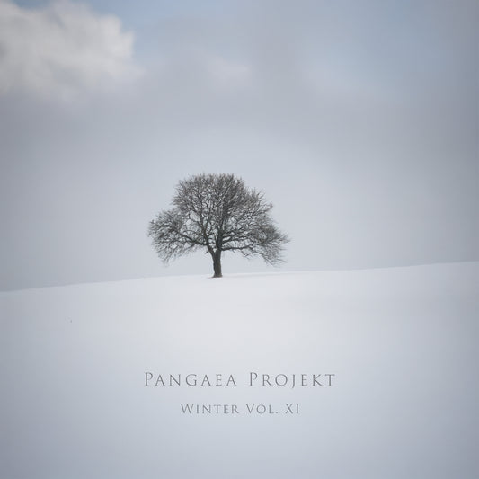 Winter Vol. XI – Studio Edition
